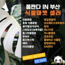 풀마켓 이미지