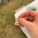 빵빵수산 이미지