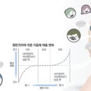 모토리스트 이미지