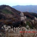 덕산계곡진입로 이미지
