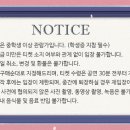 쉬어매드니스 네이버블로그