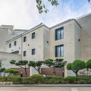 브라운도트 이미지