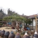 도청도예 이미지