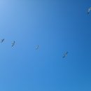 삼목선착장 이미지