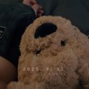 모모스윗 | 2025 우리모모콘 후기 응모 못한자들의 최후 / 1일차 마크툽, 윤하, 에픽하이, 윤도현밴드 (in난지한강...
