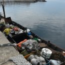 동해-단속-17 이미지