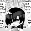 파라이소 이미지