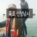 야타2호 | 목포도다리낚시:선상낚시 월척~ 특별한경험!! (야타피싱)
