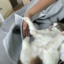 다들 건강하세요