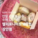 캘리포니아도넛클럽 장안점 | 장안동 빵집 | 유튜버 먹방에 나오는 그 도넛! <캘리포니아도넛클럽 장안점>