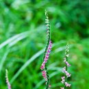 들길 따라서 이미지