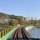 풍덕교옆 뚝방 이미지