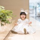 월명 일식 | 군산 돌스냅 고민 끝｜에이본호텔 월명일식 파이브필름 후기