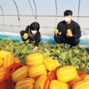성주