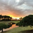 태광컨트리클럽 이미지