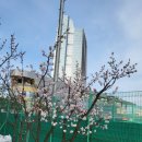 참(charm)행정사 사무소 이미지