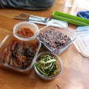 느티나무 그늘아래 평상 이미지