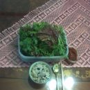 엄마가차려주신밥상 이미지