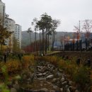 소현초등학교 이미지