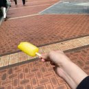 부일로483번길·부흥로402번길 | [일상콩] 24.08.05-24.08.11 요아정