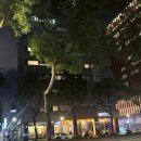 중산지구8 | 대만 숙소 위치, 타이베이 숙소 추천 암바 중산 호텔 후기 중산역 도보 5분 내돈내산 완벽 정리