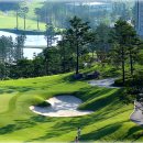 오크(O.A.K) 이미지