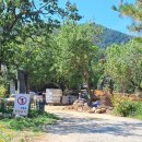 조해영농장 이미지