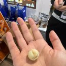 더세인트빌딩 | [호주] 시드니 4일차(2) - 시드니 대학교, 세인트메리 대성당,퀸빅토리아빌딩, 시드니 면세점