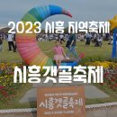 2023 시흥 갯골축제 아이와 가기 좋은 지역축제 후기