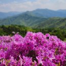 지리산 서북능선 종주 이미지