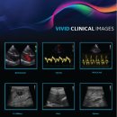 늘사랑동물병원 이미지