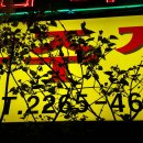 김치찌개생삼겹 이미지