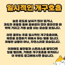 309. 고양이 개구호흡! 헥헥 거리는 이유! 이미지