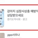 등대약국 이미지