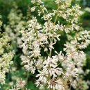 신화 행정사 사무소 이미지