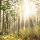 양재대로(남부순환로) 이미지