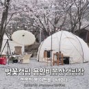 용인 비봉산 캠핑장, 행복한 벚꽃캠핑을 다녀오다.