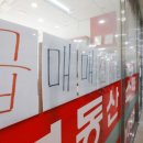 DB공인중개사사무소 이미지