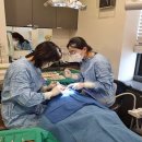 김경현치과의원 이미지