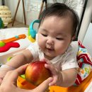 달달농수산물