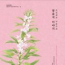 풍석차문화연구소
