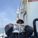 로드47 | 고수분들이 추천해준 초보자용 쭈꾸미 낚시대 로드 릴