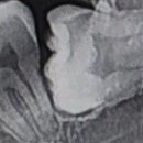 고웰치과의원 이미지