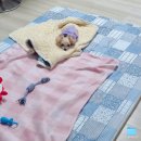 미용하는강아지 | 망한 말티푸 배냇 미용 후기 (강아지 배냇 미용의 모든 것)