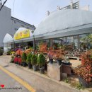 금난의 집 이미지