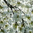 CU(벚꽃점) 네이버블로그