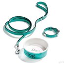 도도한강아지 이미지