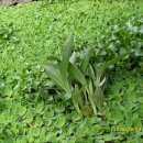 솔마루민박 이미지