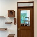 캣블레스유 이미지