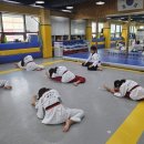 경희대엘리트태권도장 이미지